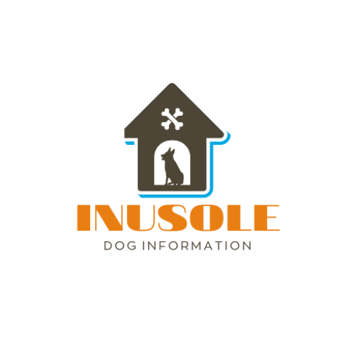 INUSOLE